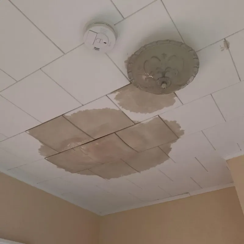 Ceiling Water Damage Repair in Gulf Park Estates, MS