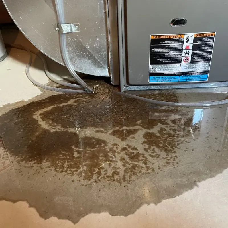 Pipe Burst and Leak Restoration in Gulf Park Estates, MS